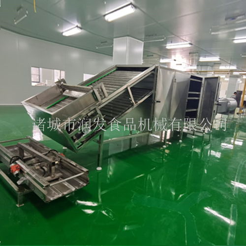 匠心鑄就品質 諸城潤發機械打造荷葉茶加工設備新標桿